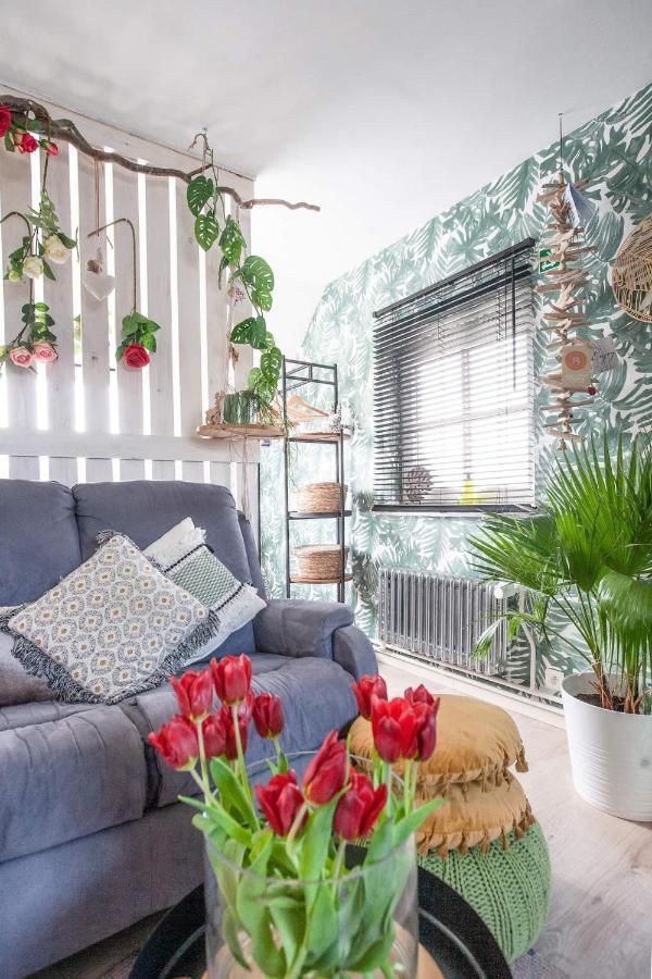 Zalig Cosy Appartement 2-4 Pers.Fietsen & Tuin De Haan Esterno foto
