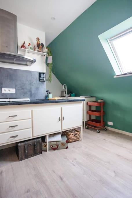 Zalig Cosy Appartement 2-4 Pers.Fietsen & Tuin De Haan Esterno foto