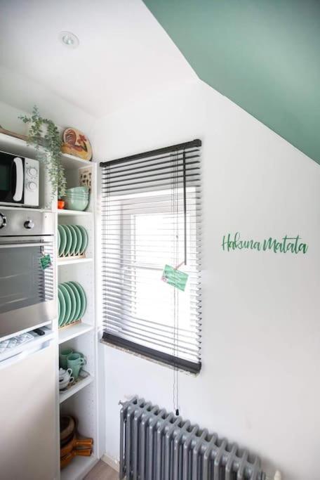 Zalig Cosy Appartement 2-4 Pers.Fietsen & Tuin De Haan Esterno foto